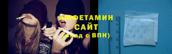 сатива Надым