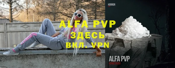 СК Алексин
