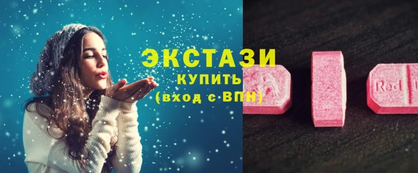 СК Алексин