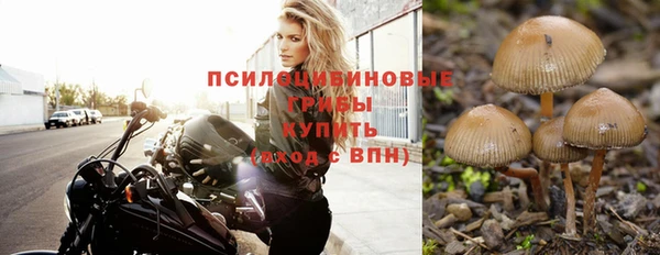 дмт Алзамай